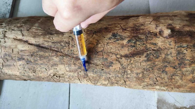 Woodworking 6