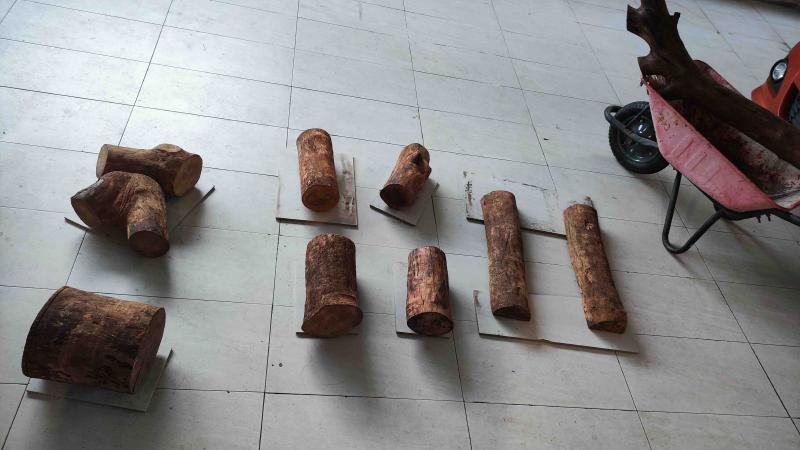 Woodworking 7