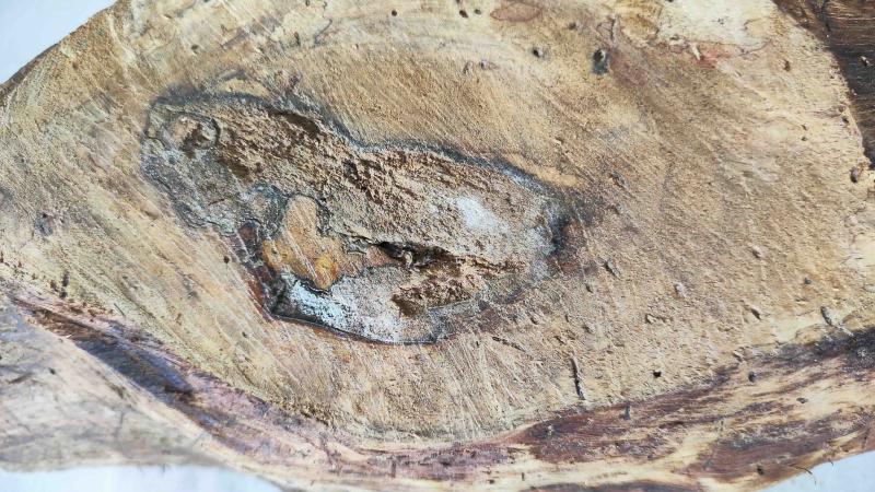 Woodworking 8